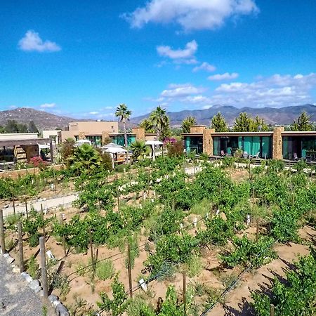 Entre Vinedos By Hotel Boutique Valle De Guadalupe Exterior photo