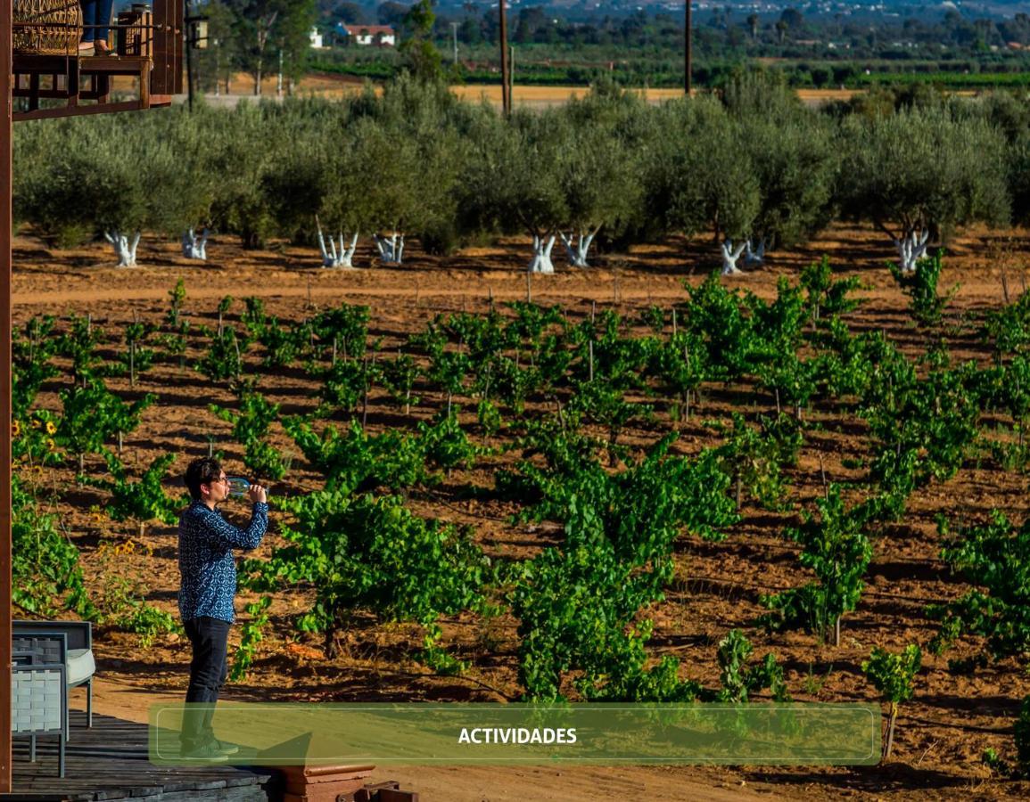 Entre Vinedos By Hotel Boutique Valle De Guadalupe Exterior photo