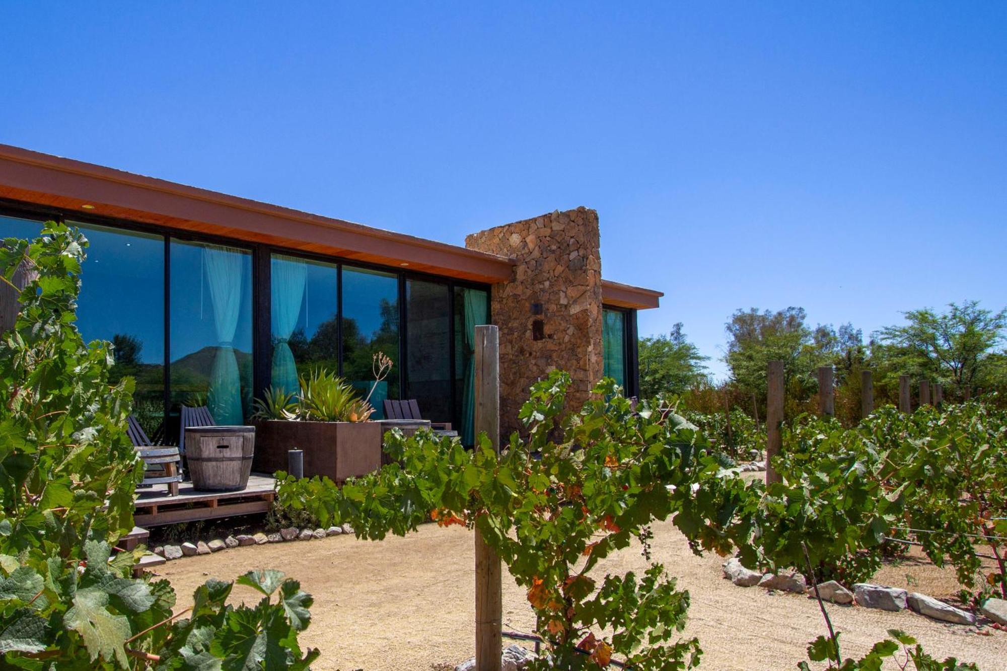 Entre Vinedos By Hotel Boutique Valle De Guadalupe Exterior photo
